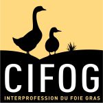 Logo CIFOG