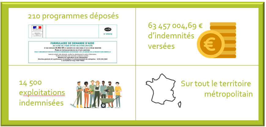 Les chiffres clés du FMSE depuis 10 ans