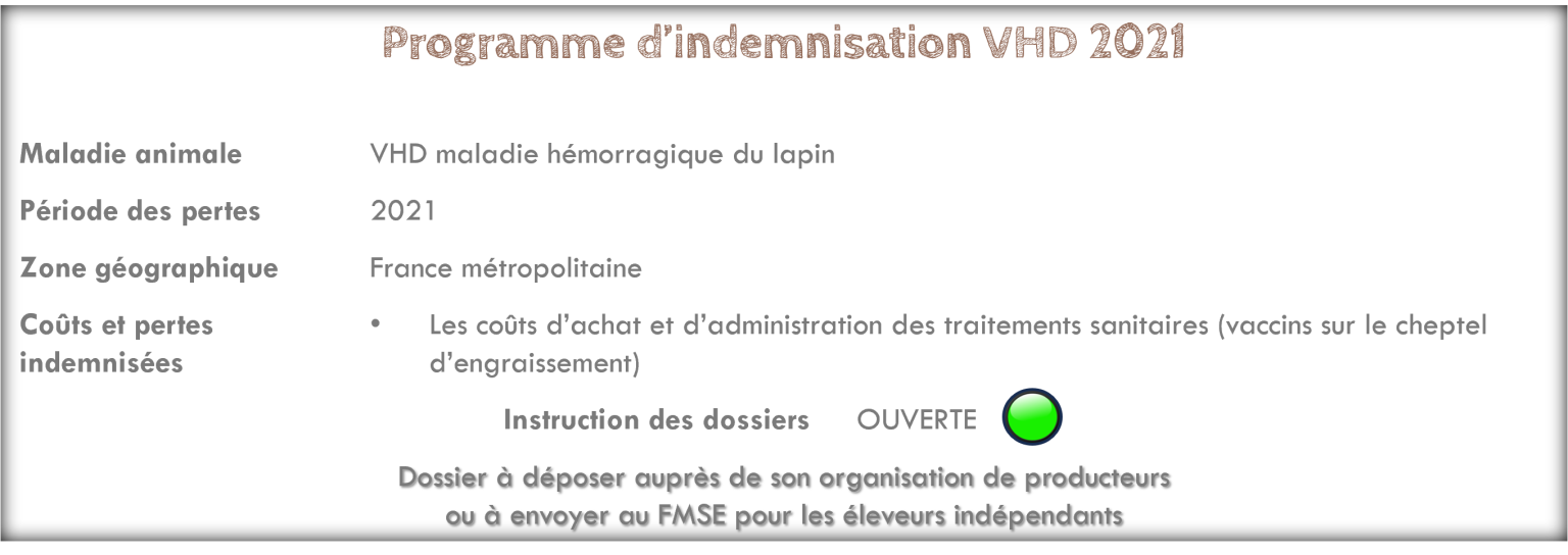 Programme VHD 2021 FMSE